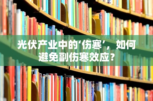 光伏产业中的‘伤寒’，如何避免副伤寒效应？