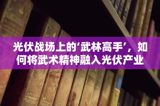 光伏战场上的‘武林高手’，如何将武术精神融入光伏产业？