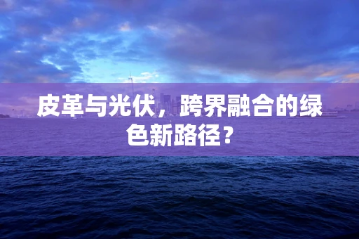 皮革与光伏，跨界融合的绿色新路径？