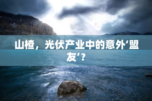 山楂，光伏产业中的意外‘盟友’？