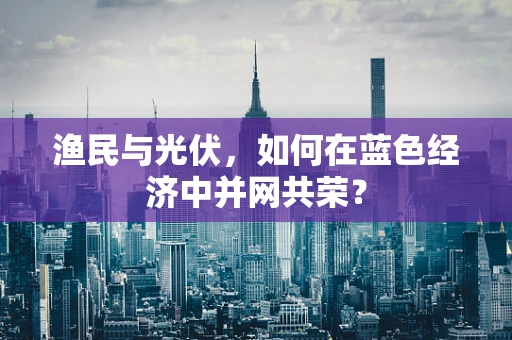 渔民与光伏，如何在蓝色经济中并网共荣？