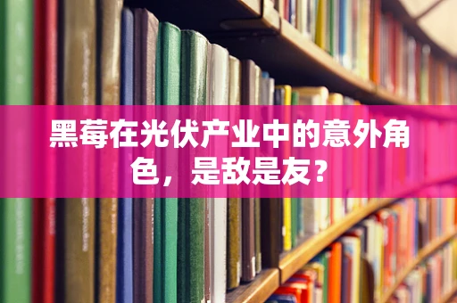 黑莓在光伏产业中的意外角色，是敌是友？