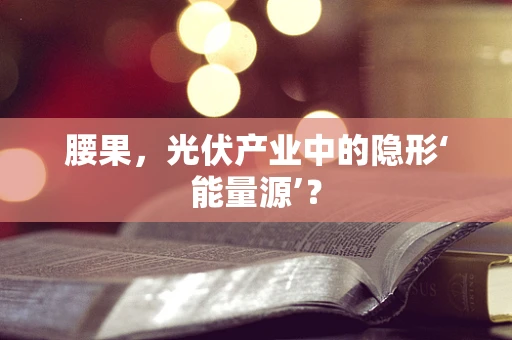 腰果，光伏产业中的隐形‘能量源’？