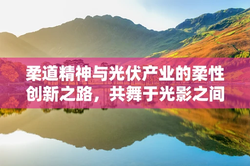 柔道精神与光伏产业的柔性创新之路，共舞于光影之间