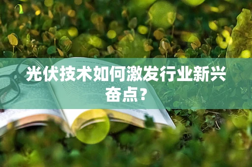 光伏技术如何激发行业新兴奋点？