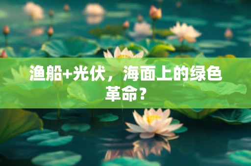 渔船+光伏，海面上的绿色革命？