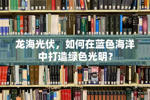 龙海光伏，如何在蓝色海洋中打造绿色光明？