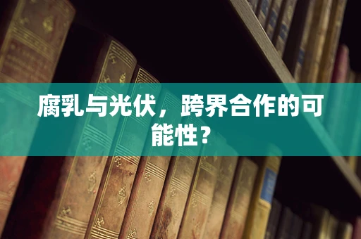 腐乳与光伏，跨界合作的可能性？