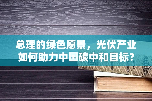 总理的绿色愿景，光伏产业如何助力中国碳中和目标？