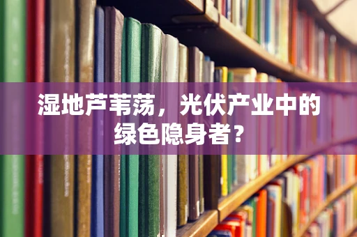 湿地芦苇荡，光伏产业中的绿色隐身者？