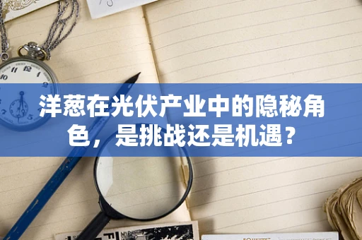 洋葱在光伏产业中的隐秘角色，是挑战还是机遇？