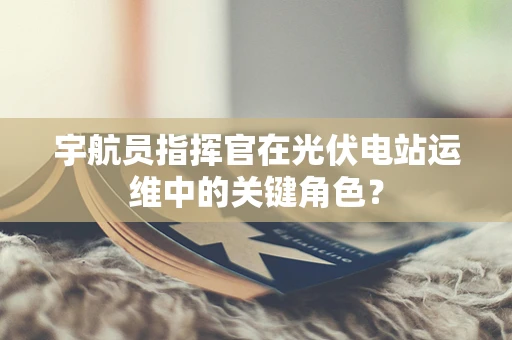 宇航员指挥官在光伏电站运维中的关键角色？