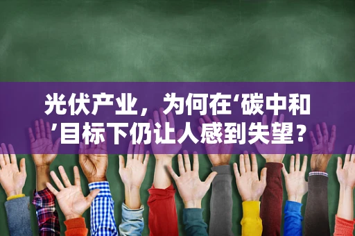 光伏产业，为何在‘碳中和’目标下仍让人感到失望？