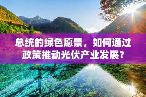 总统的绿色愿景，如何通过政策推动光伏产业发展？