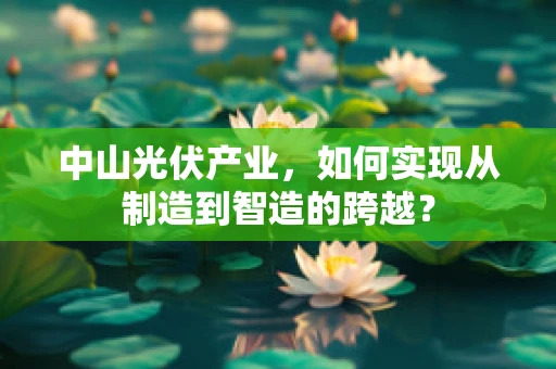 中山光伏产业，如何实现从制造到智造的跨越？