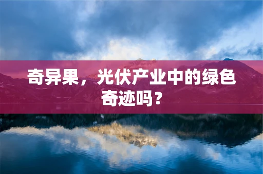 奇异果，光伏产业中的绿色奇迹吗？