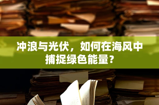 冲浪与光伏，如何在海风中捕捉绿色能量？