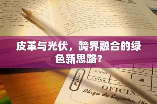 皮革与光伏，跨界融合的绿色新思路？