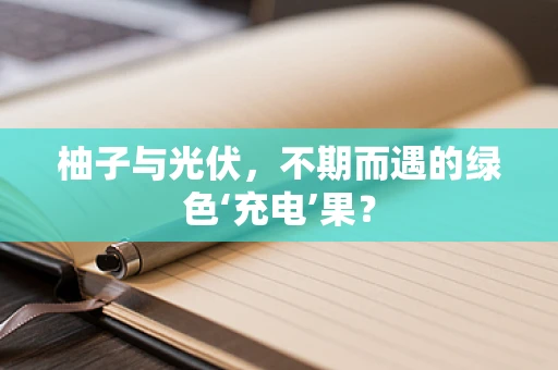 柚子与光伏，不期而遇的绿色‘充电’果？