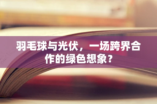 羽毛球与光伏，一场跨界合作的绿色想象？