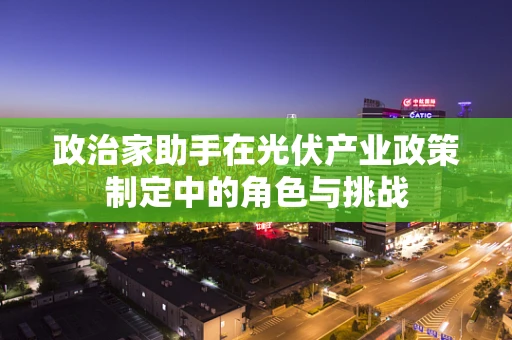 政治家助手在光伏产业政策制定中的角色与挑战