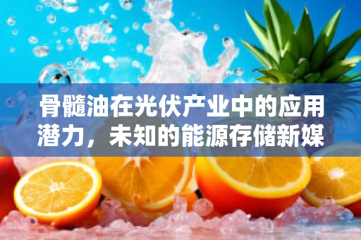 骨髓油在光伏产业中的应用潜力，未知的能源存储新媒介？