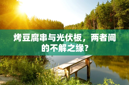 烤豆腐串与光伏板，两者间的不解之缘？