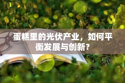 蛋糕里的光伏产业，如何平衡发展与创新？