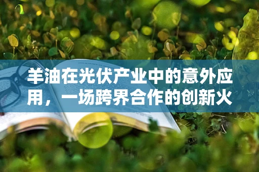 羊油在光伏产业中的意外应用，一场跨界合作的创新火花？