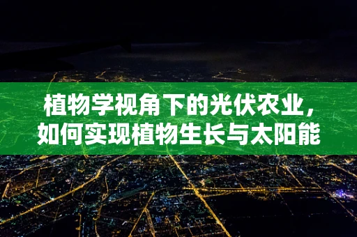 植物学视角下的光伏农业，如何实现植物生长与太阳能利用的和谐共生？