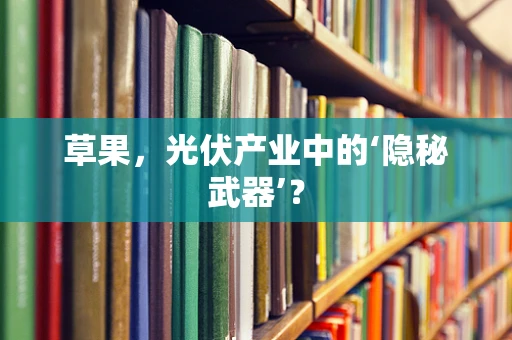 草果，光伏产业中的‘隐秘武器’？