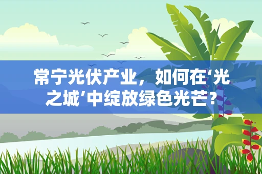 常宁光伏产业，如何在‘光之城’中绽放绿色光芒？