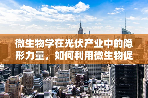 微生物学在光伏产业中的隐形力量，如何利用微生物促进硅基材料自清洁？