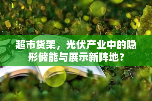 超市货架，光伏产业中的隐形储能与展示新阵地？